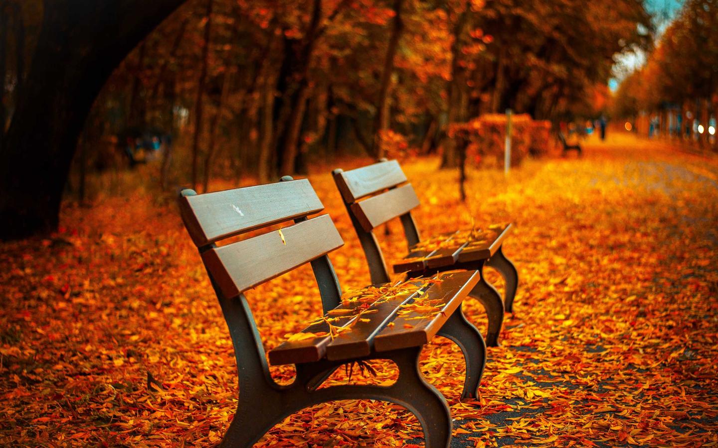 aa